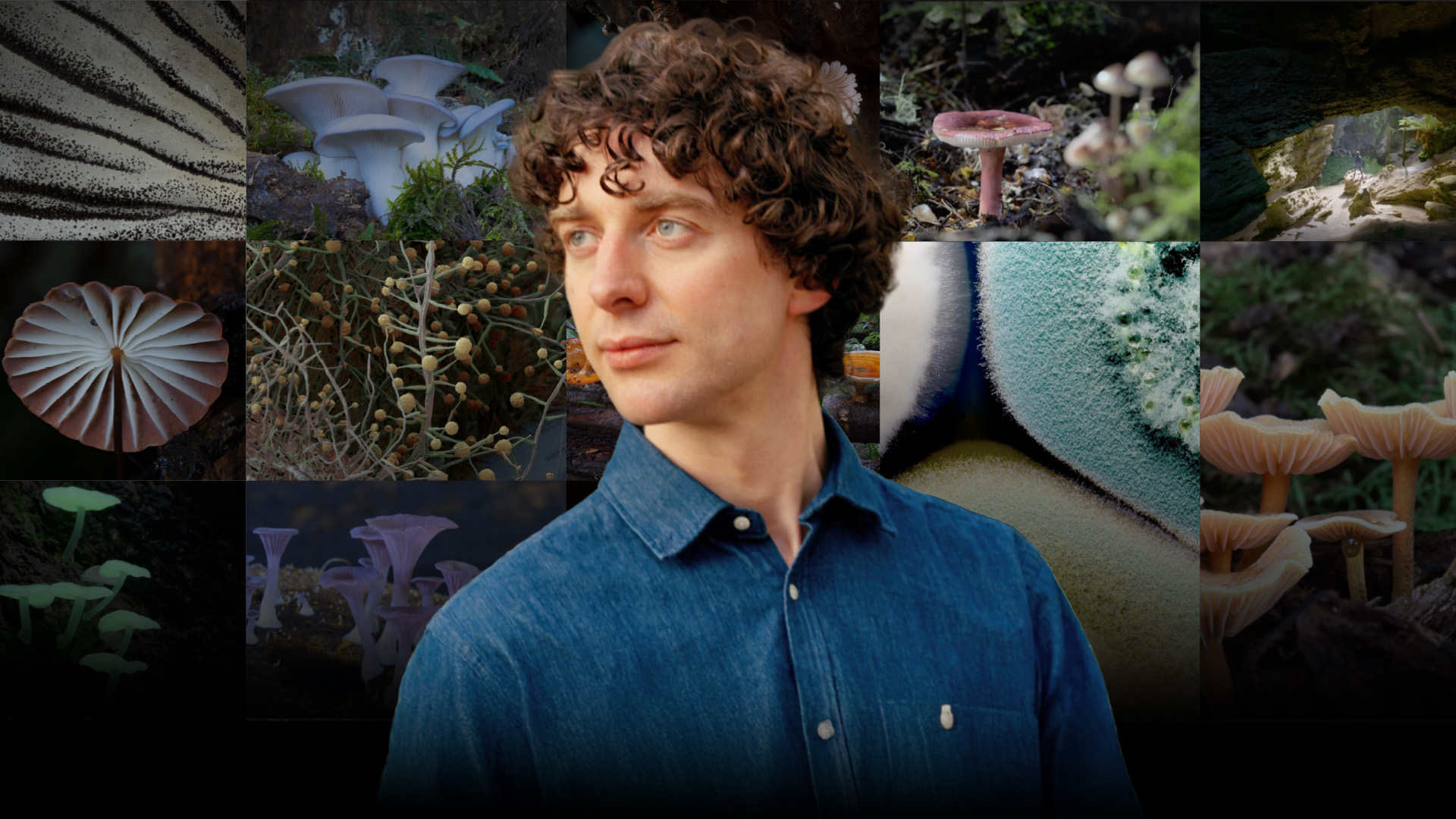 The Secret Life of Fungi LIVE