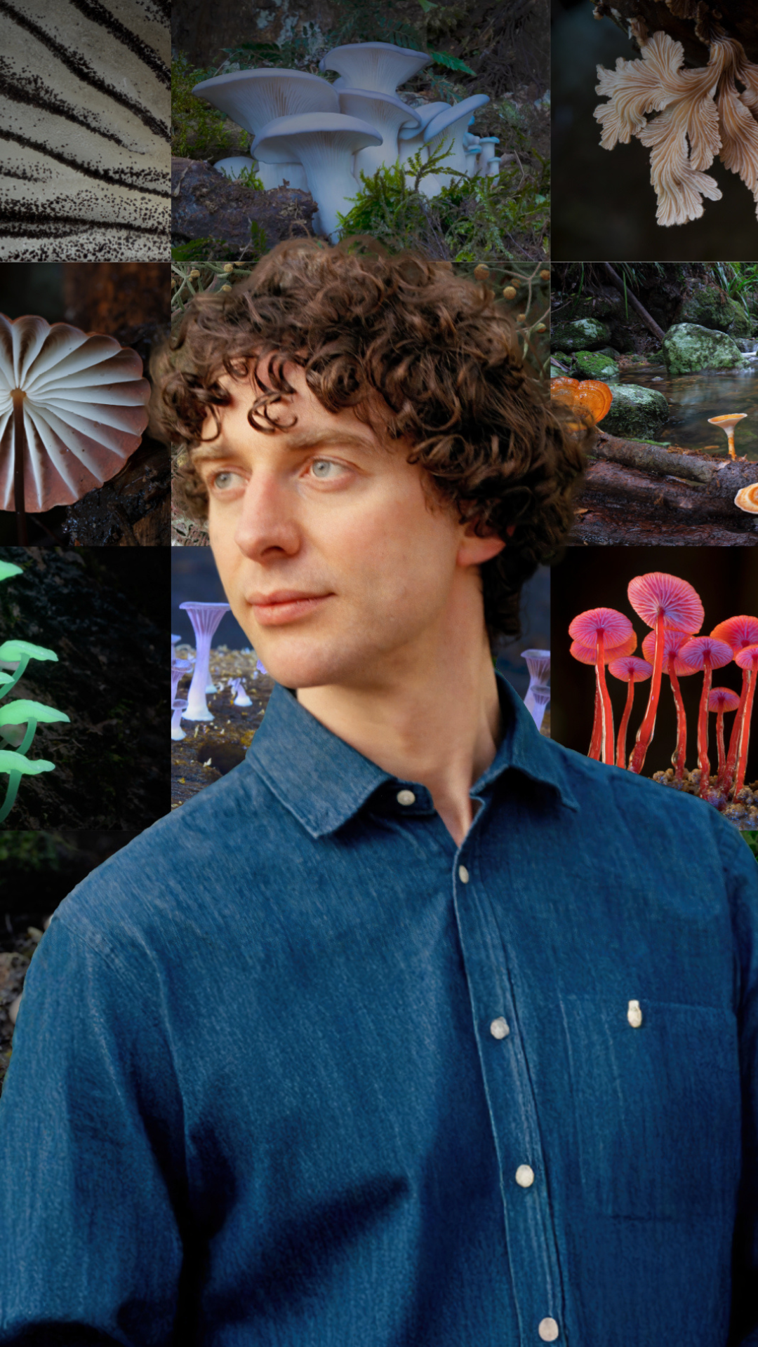 The Secret Life of Fungi LIVE