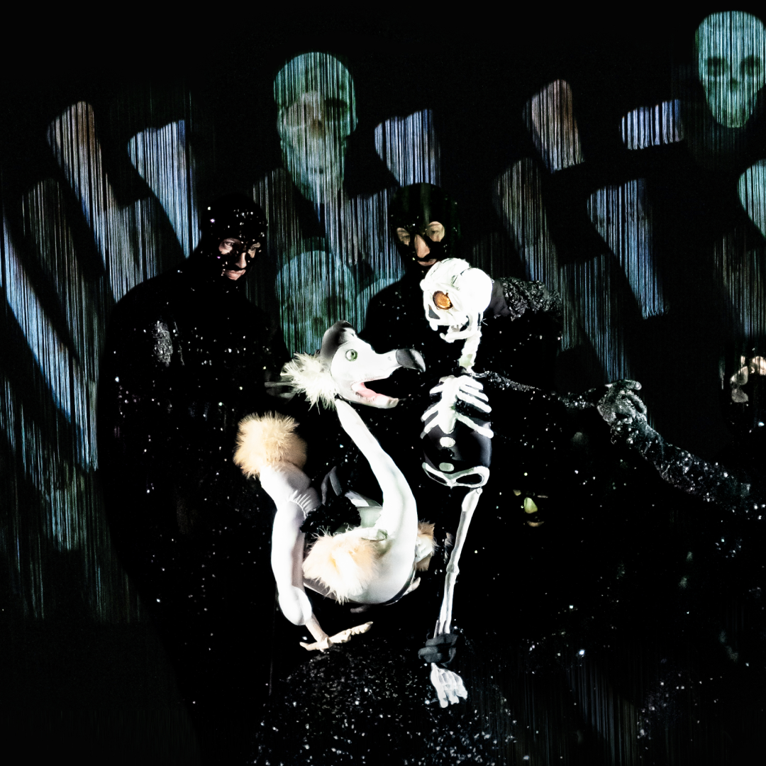 A white puppet bird interacts with a puppet skeleton, operated by figures in black against a dark background at Dead as a Dodo - Brisbane Powerhouse, with ghostly, skeletal shapes projected behind them.